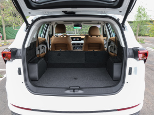 2021PLUS T 1.6TGDI DCT 5 g