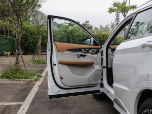 2021款PLUS 诸葛版 1.6TGDI DCT武侯 5座 驾驶位车门