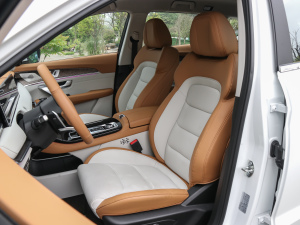 2021PLUS T 1.6TGDI DCT 5 g