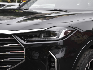 2021PLUS T 1.6TGDI DCT 5 (ji)^