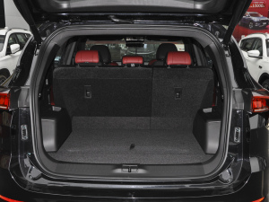 2021PLUS T 1.6TGDI DCT 5 g