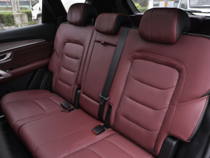 2021PLUS T 1.6TGDI DCT 7 g