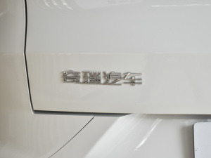 2021款1.5T 手动特供I版 7座 细节外观