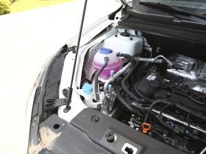 2021��M 1.5T DCT���A����� 5�� ����