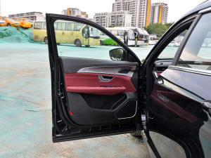 2021款PLUS 1.5T 手动林PRO 5座 驾驶位车门