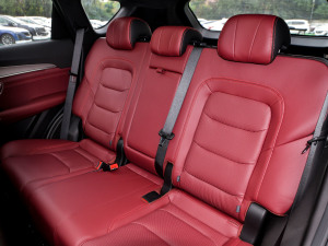 2021PLUS 1.5T քPRO 5 g