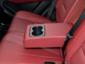 2021PLUS 1.5T քPRO 5 