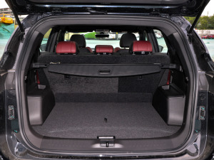 2021PLUS 1.5T քPRO 5 g