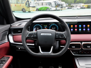 2021款PLUS 1.5T 手动林PRO 5座 方向盘