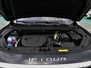 2021PLUS 1.5T քPRO 5 