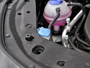 2021PLUS 1.5T քPRO 5 