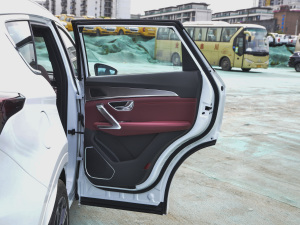 2021PLUS T 1.6TGDI DCT 7 g