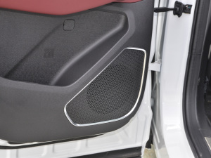 2021PLUS T 1.6TGDI DCT 7 g