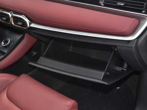 2021PLUS T 1.6TGDI DCT 7 