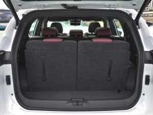 2021PLUS T 1.6TGDI DCT 7 g