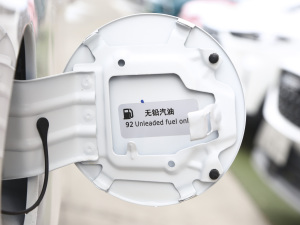 2021PLUS 1.6T DCTPRO 7 ^