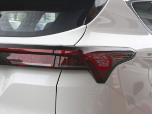 2021PLUS 1.6T DCTPRO 7 ^