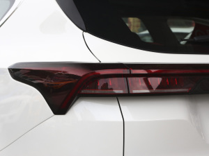 2021PLUS 1.6T DCTPRO 7 ^