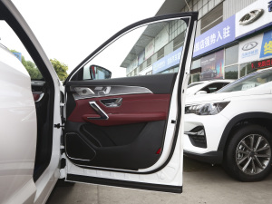 2021PLUS 1.6T DCTPRO 7 g