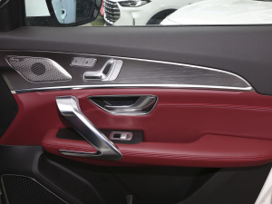 2021PLUS 1.6T DCTPRO 7 g