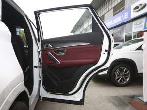 2021PLUS 1.6T DCTPRO 7 g