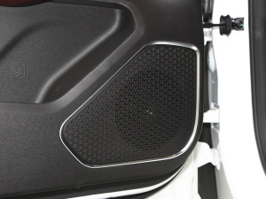 2021PLUS 1.6T DCTPRO 7 g