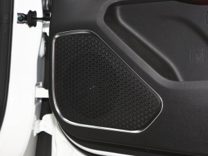 2021PLUS 1.6T DCTPRO 7 g