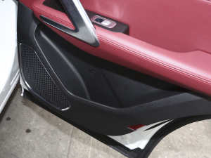 2021PLUS 1.6T DCTPRO 7 g