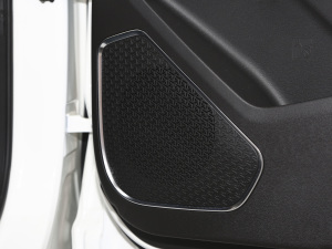 2021PLUS 1.6T DCTPRO 7 g