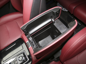 2021PLUS 1.6T DCTPRO 7 g