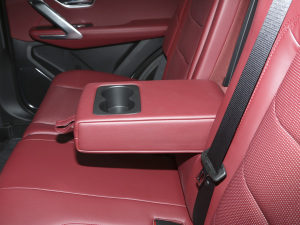 2021PLUS 1.6T DCTPRO 7 