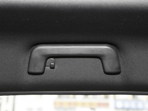 2021PLUS 1.6T DCTPRO 7 g