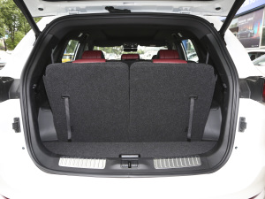 2021PLUS 1.6T DCTPRO 7 g