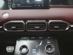 2021PLUS 1.6T DCTPRO 7 {(dio)L(fng)