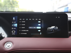 2021PLUS 1.6T DCTPRO 7 п؅^