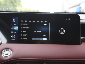 2021PLUS 1.6T DCTPRO 7 п؅^