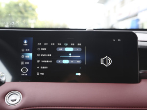 2021PLUS 1.6T DCTPRO 7 п؅^