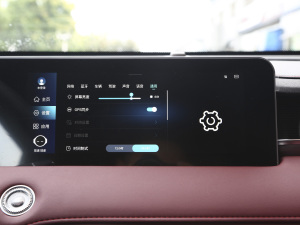 2021PLUS 1.6T DCTPRO 7 п؅^