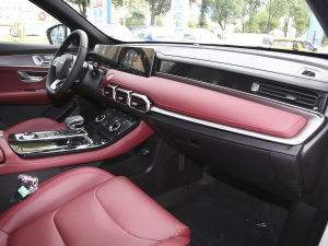 2021PLUS 1.6T DCTPRO 7 п؅^(q)