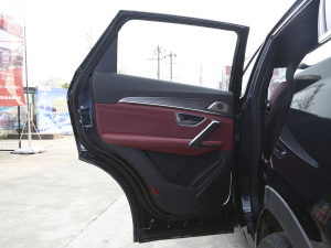 2021款PLUS 1.6T DCT星PRO 7座 左后车门