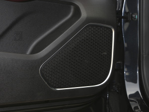 2021PLUS 1.6T DCTPRO 7 g