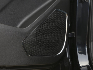 2021PLUS 1.6T DCTPRO 7 g