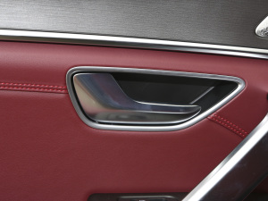 2021PLUS 1.6T DCTPRO 7 g