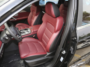 2021PLUS 1.6T DCTPRO 7 g