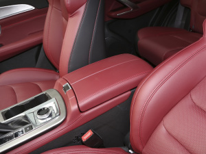 2021PLUS 1.6T DCTPRO 7 g