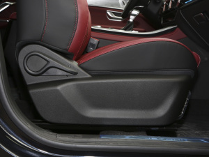 2021PLUS 1.6T DCTPRO 7 g