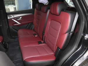 2021PLUS 1.6T DCTPRO 7 g