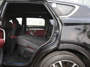 2021PLUS 1.6T DCTPRO 7 g