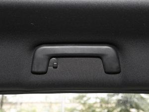 2021PLUS 1.6T DCTPRO 7 g