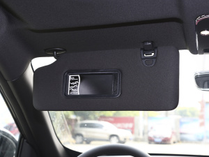 2021PLUS 1.6T DCTPRO 7 g